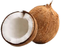 Coconut Products